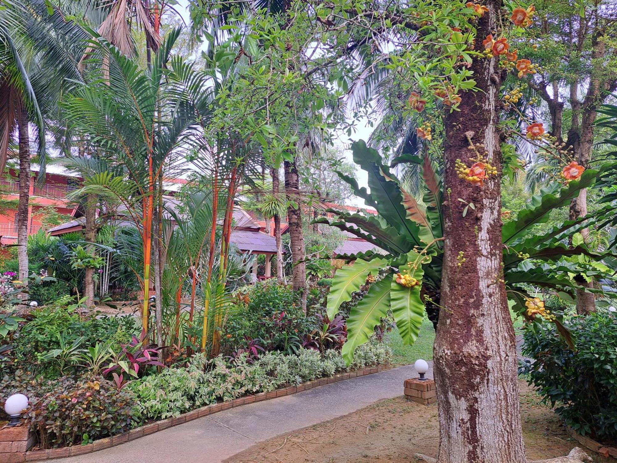 Jasmin Resort - Sha Plus Khao Lak Exterior photo